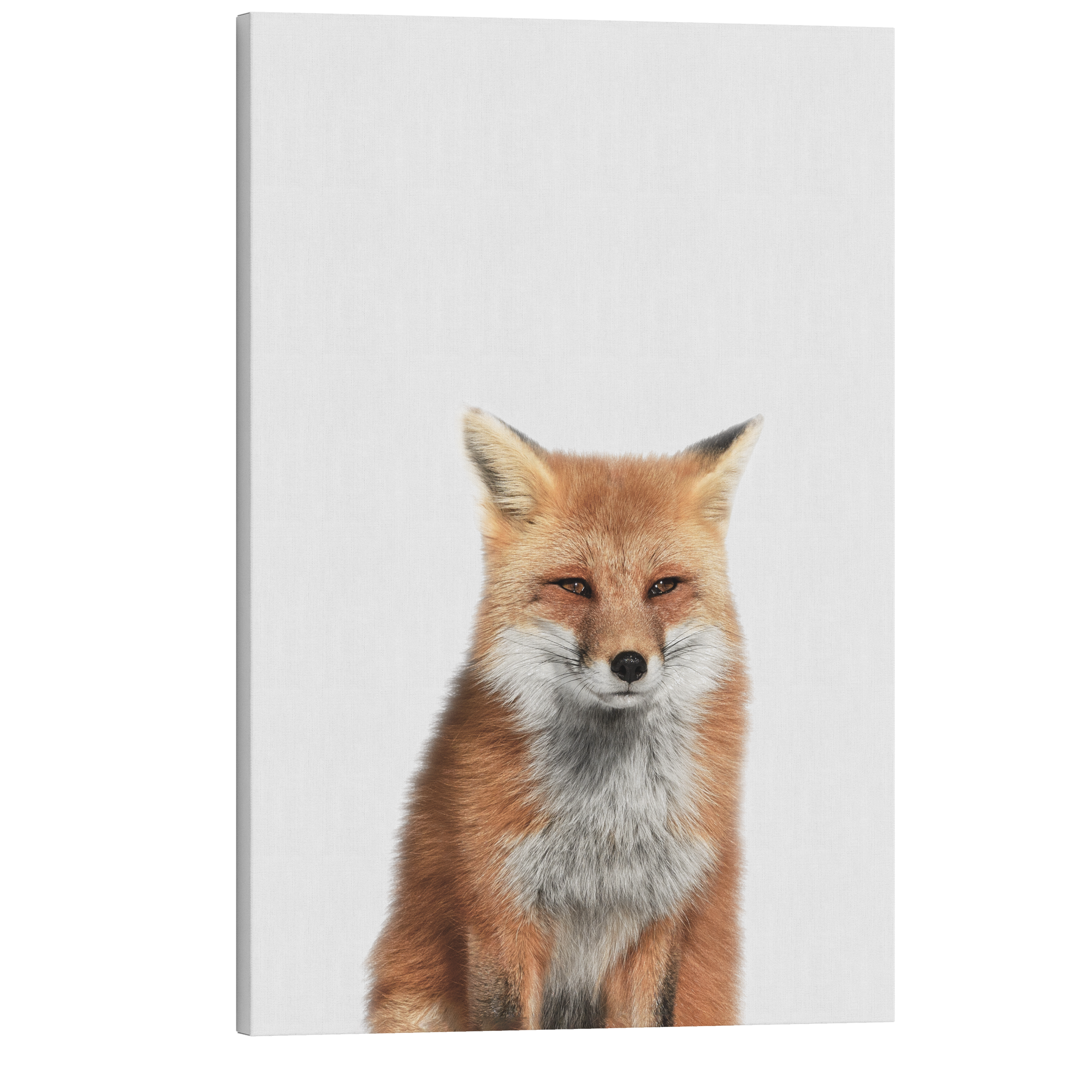 Minimalist Baby Fox - Woodland Animal Peekaboo Nursery Photography - Crystal Canvas Print Wall Art Décor Whelhung