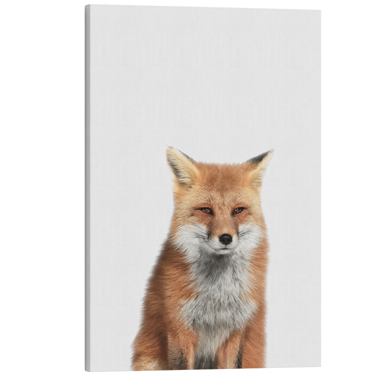 Minimalist Baby Fox - Woodland Animal Peekaboo Nursery Photography - Crystal Canvas Print Wall Art Décor Whelhung