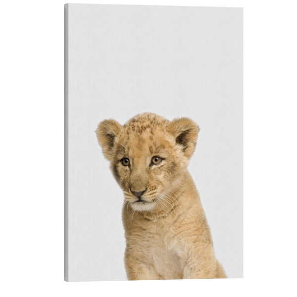 Minimalist Baby Lion - Safari Animal Peekaboo Nursery Photography - Crystal Canvas Print Wall Art Décor Whelhung