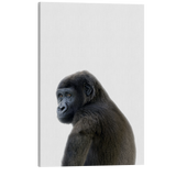 Minimalist Baby Gorilla - Safari Animal Peekaboo Nursery Photography - Crystal Canvas Print Wall Art Décor Whelhung
