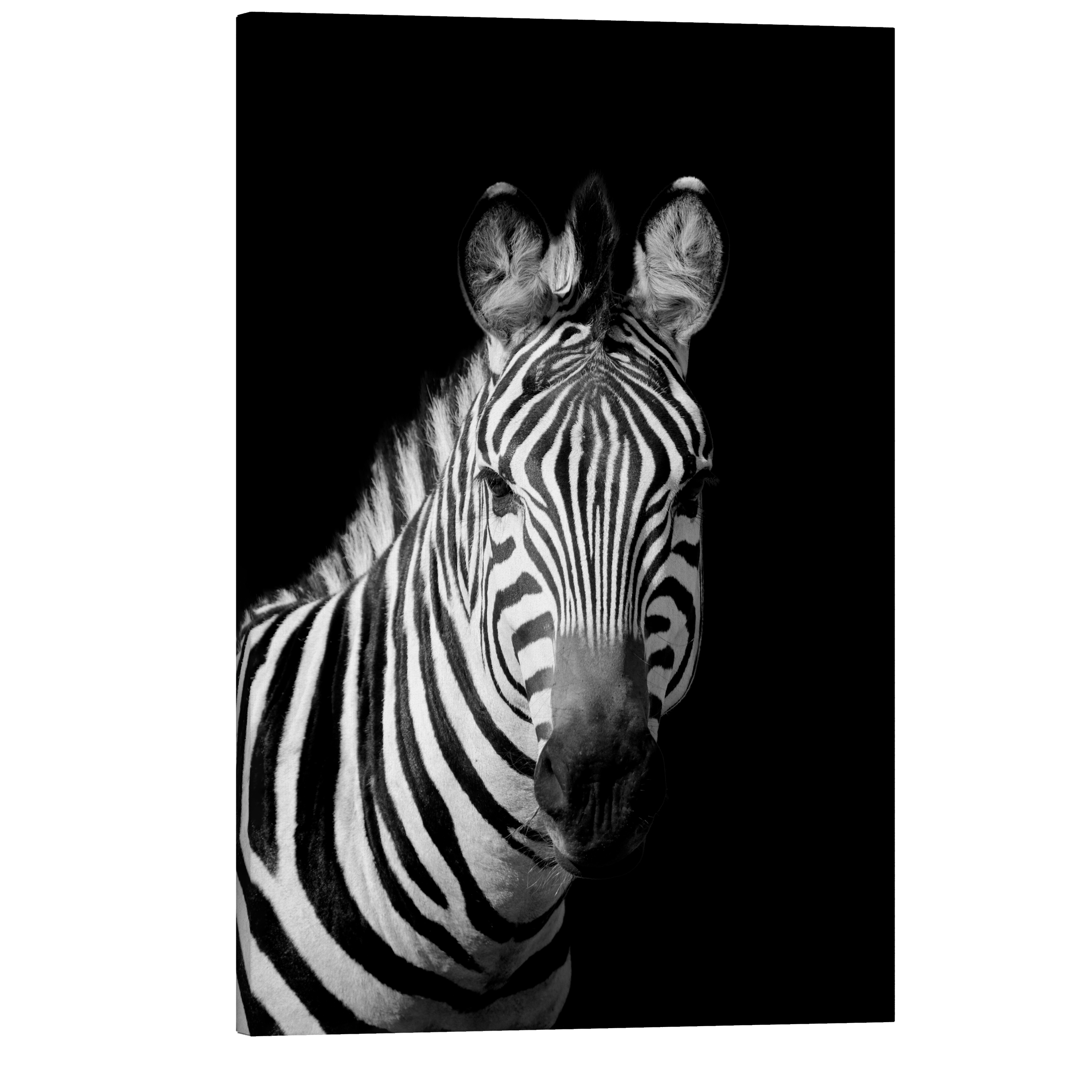 Black and White Zebra - Animal Photography - Crystal Canvas Print Wall Art Décor Whelhung