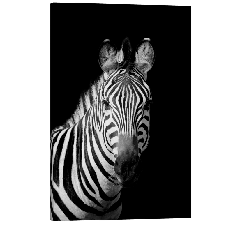 Black and White Zebra - Animal Photography - Crystal Canvas Print Wall Art Décor Whelhung