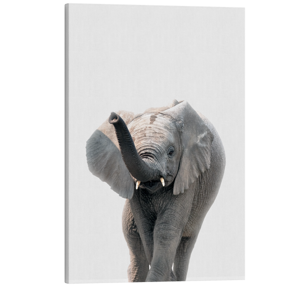 Minimalist Baby Elephant - Safari Animal Peekaboo Nursery Photography - Crystal Canvas Print Wall Art Décor Whelhung