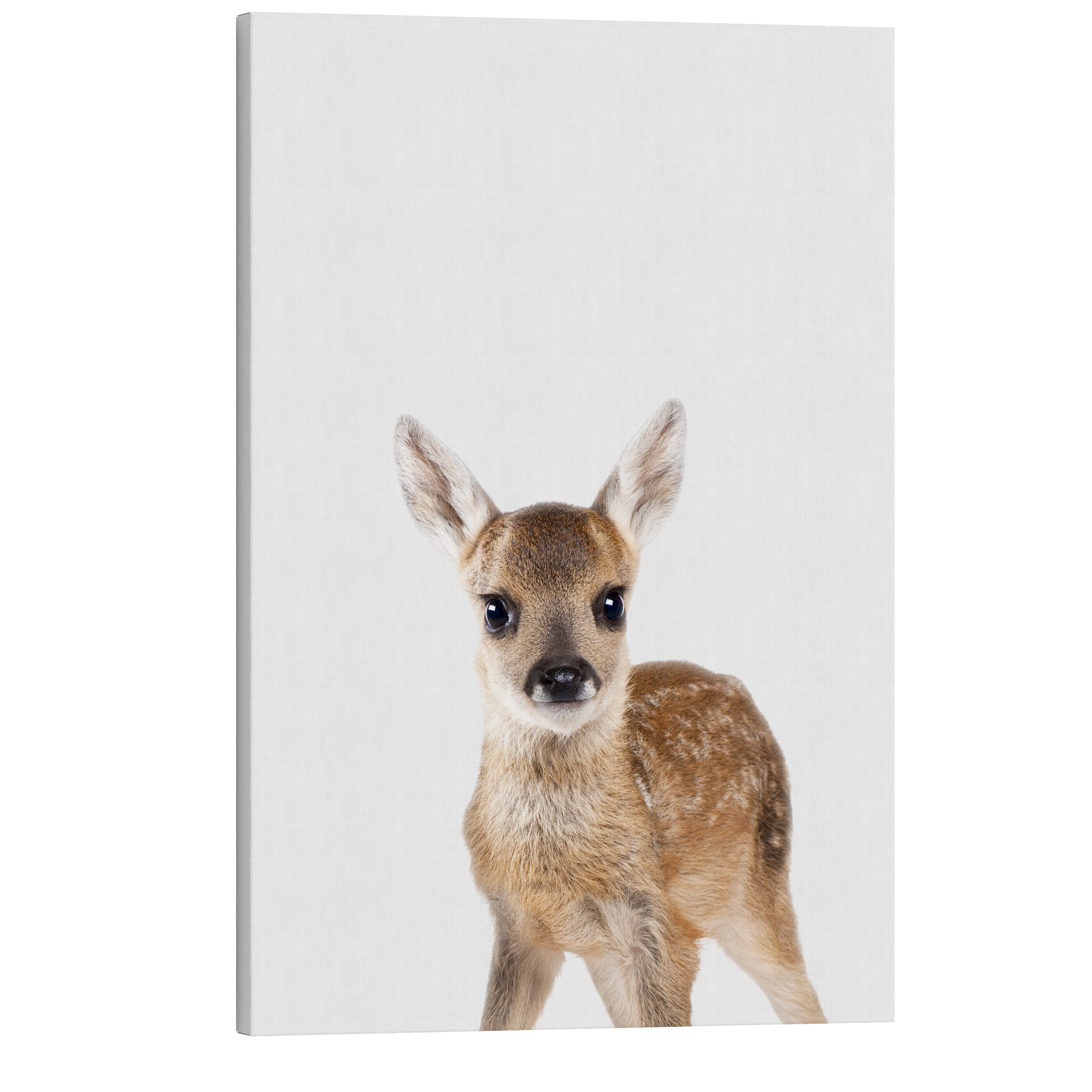 Minimalist Baby Deer - Woodland Animal Peekaboo Nursery Photography - Crystal Canvas Print Wall Art Décor Whelhung