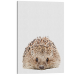 Minimalist Baby Hedgehog - Woodland Animal Peekaboo Nursery Photography - Crystal Canvas Print Wall Art Décor Whelhung