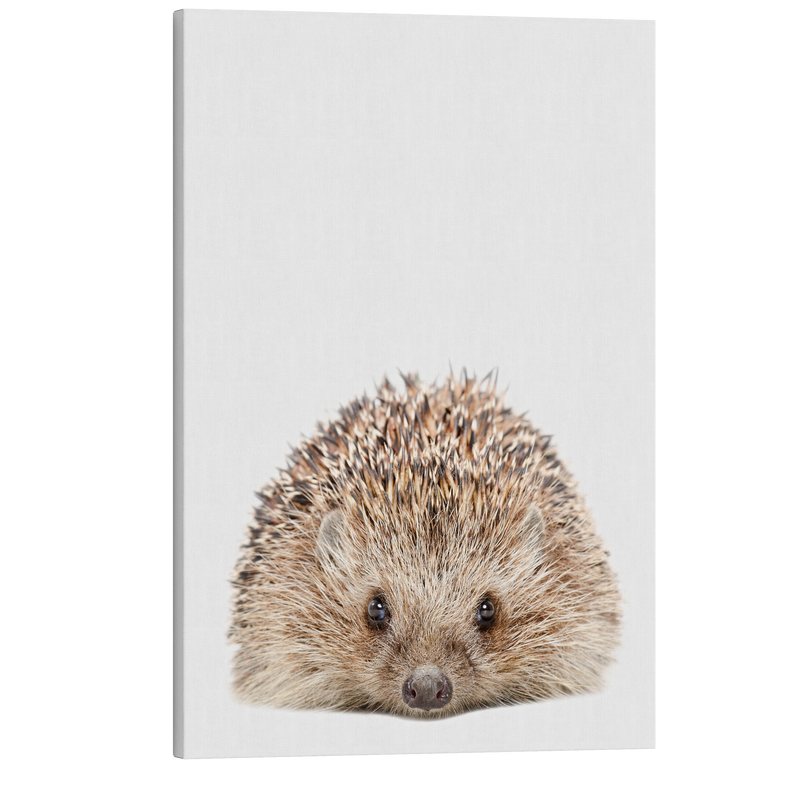 Minimalist Baby Hedgehog - Woodland Animal Peekaboo Nursery Photography - Crystal Canvas Print Wall Art Décor Whelhung