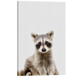 Minimalist Baby Raccoon - Woodland Animal Peekaboo Nursery Photography - Crystal Canvas Print Wall Art Décor Whelhung