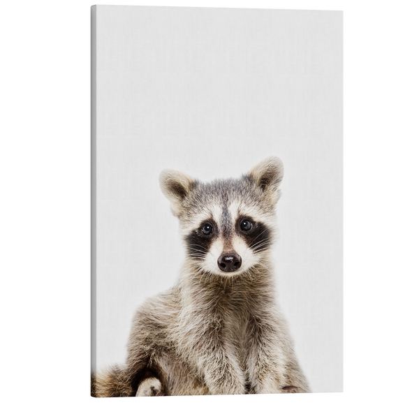 Minimalist Baby Raccoon - Woodland Animal Peekaboo Nursery Photography - Crystal Canvas Print Wall Art Décor Whelhung