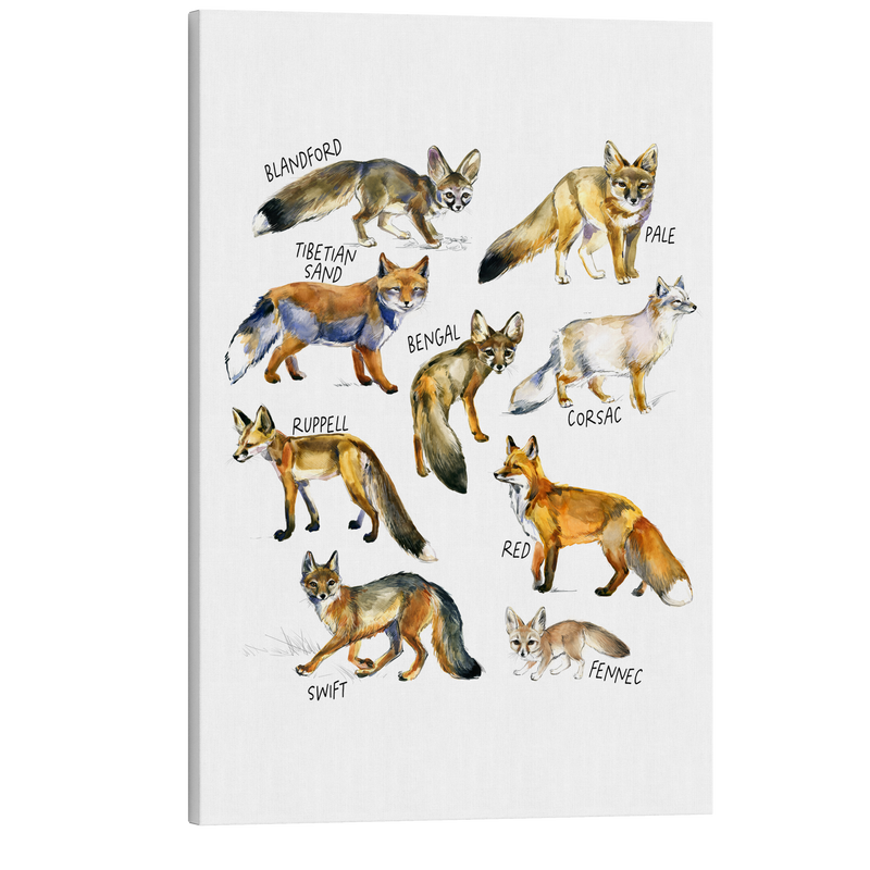 Fox Breed Guide - Animal Watercolor Painting - Crystal Canvas Print Wall Art Décor Whelhung