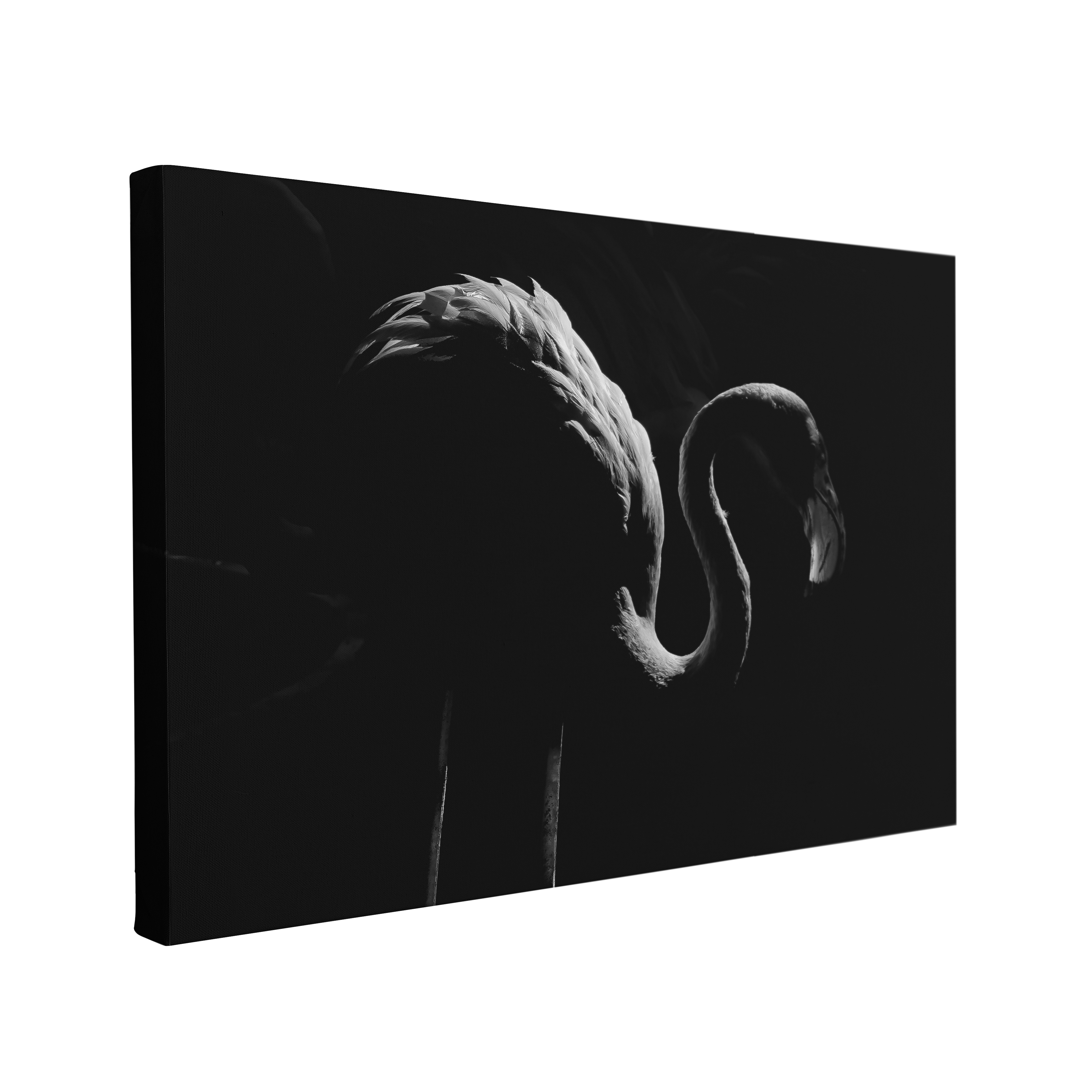 Black and White Flamingo Animal Photography - Canvas Print Wall Art Décor Whelhung