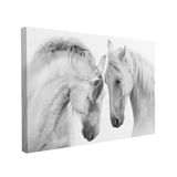 Two White Horses Photography - Canvas Print Wall Art Décor Whelhung