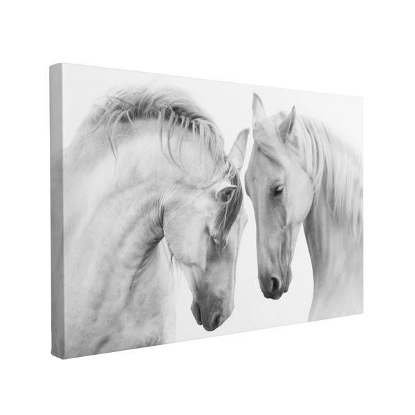 Two White Horses Photography - Canvas Print Wall Art Décor Whelhung