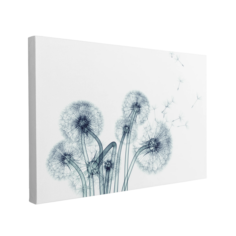 Xray Taraxacum Dandelion - Canvas Print Wall Art Décor Whelhung