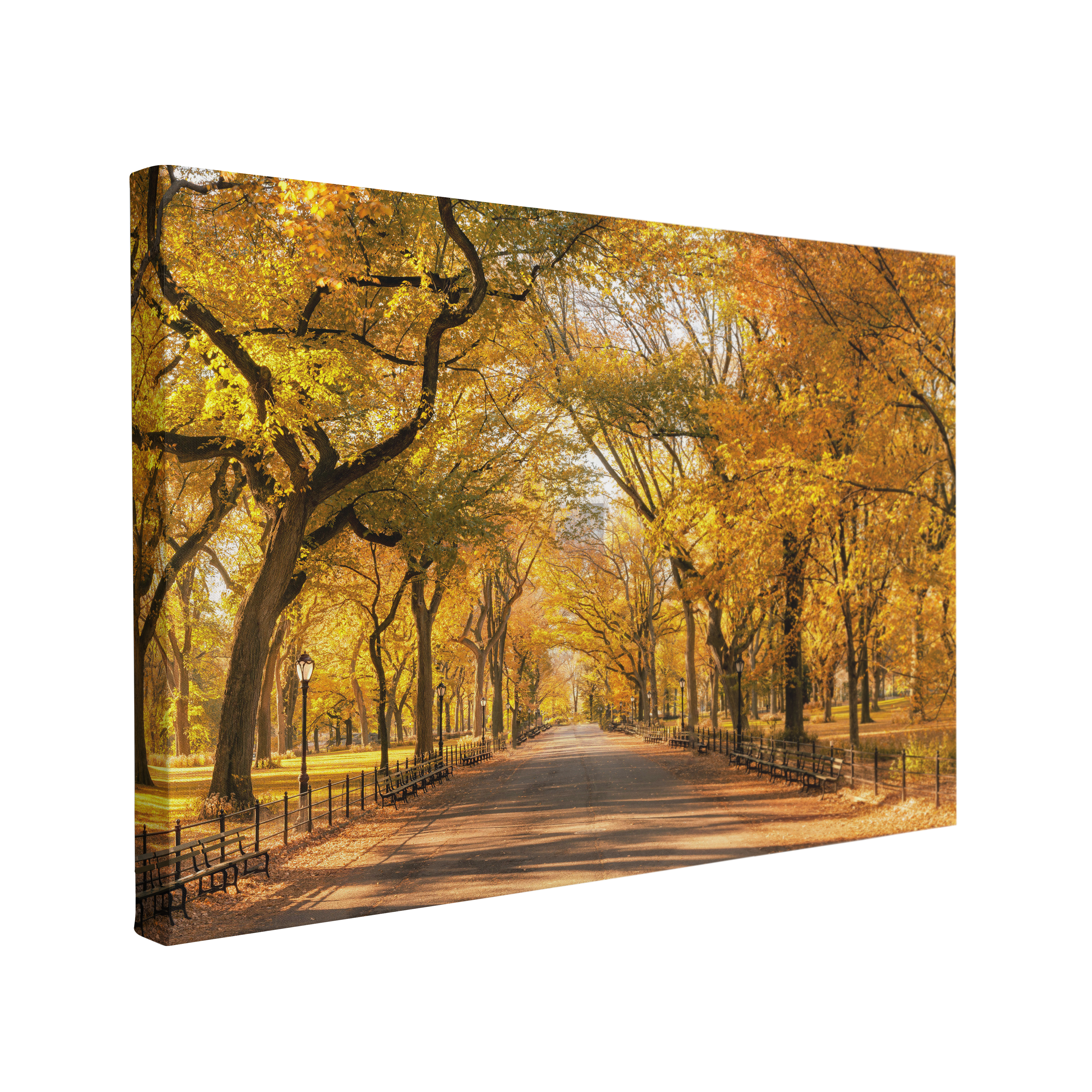 Autumn Central Park, New York City Photography - Canvas Print Wall Art Décor Whelhung