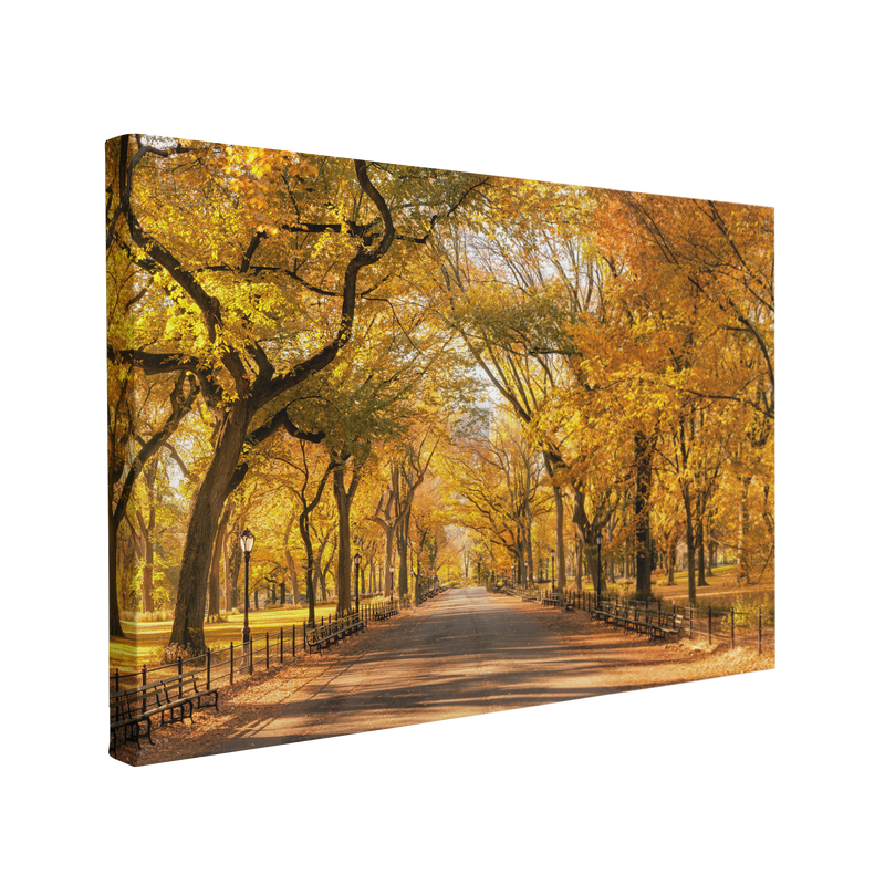 Autumn Central Park, New York City Photography - Canvas Print Wall Art Décor Whelhung