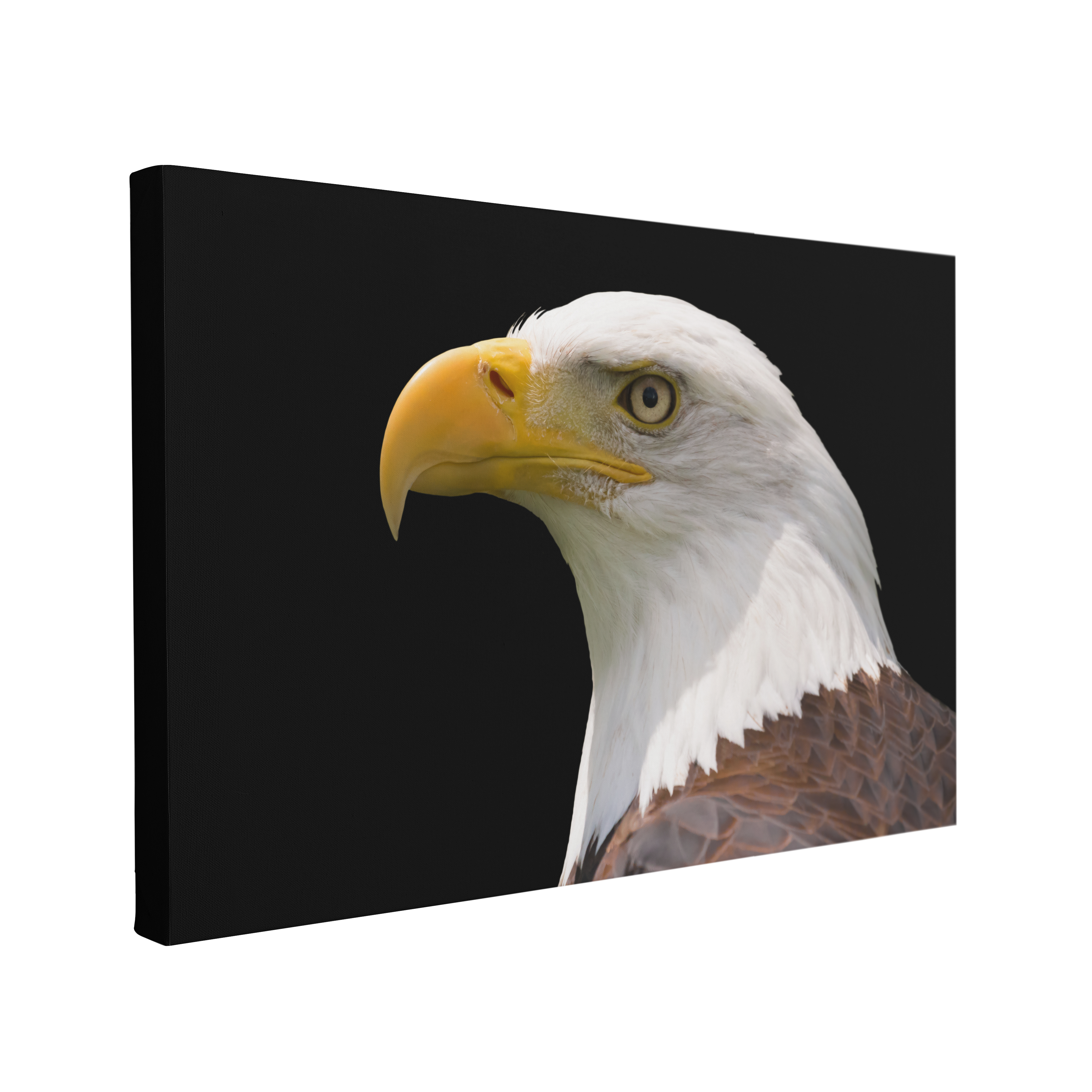 Bald Eagle Patriotic Photography - Canvas Print Wall Art Décor Whelhung